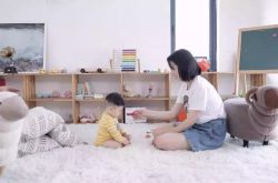 （10分钟科普下）朝阳行业公司_哔哩哔哩-3